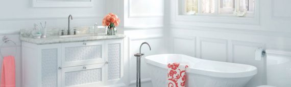 Plomberie paris : intervention dans la salle de bain